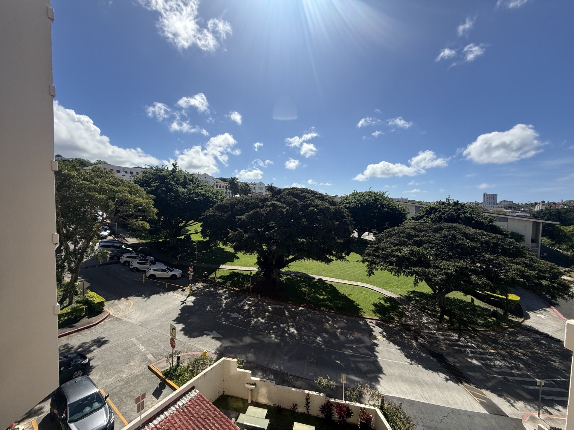 A sunny day with a large tree in the center of a parking lot.